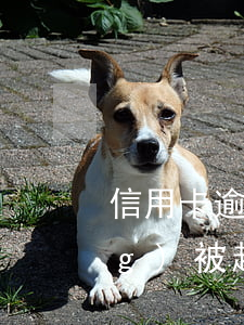 信用卡逾期無(wú)力償還已經(jīng)被起訴了-信用卡逾期無(wú)力償還已經(jīng)被起訴了怎么辦