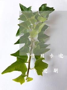 信用卡逾期無(wú)力償還影響征信 信用卡逾期無(wú)力償還影響征信嗎