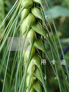 信用卡逾期無(wú)力償還怎么辦上門(mén)(欠信用卡逾期上門(mén)催收)