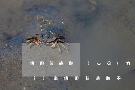 信用卡逾期無(wú)力償還怎么辦濟(jì)南(信用卡 逾期不還)