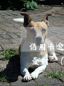 信用卡逾期無(wú)力償還會(huì)查封財(cái)產(chǎn)嗎 還清了信用卡逾期款為啥被銀行把卡凍結(jié)了