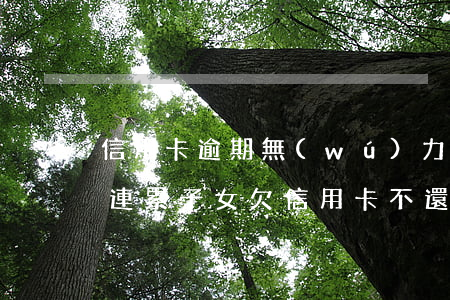信用卡逾期無(wú)力償還會(huì)連累子女(欠信用卡不還的后果會(huì)連累家人嗎)