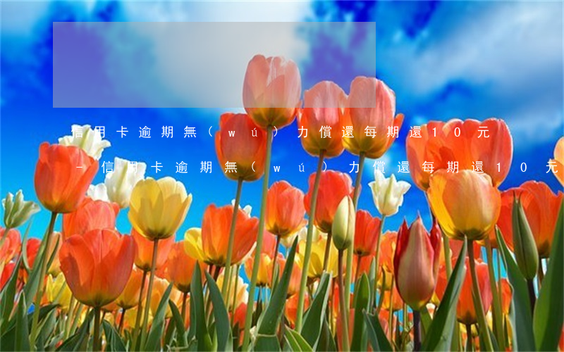 信用卡逾期無(wú)力償還每期還10元-信用卡逾期無(wú)力償還每期還10元怎么辦