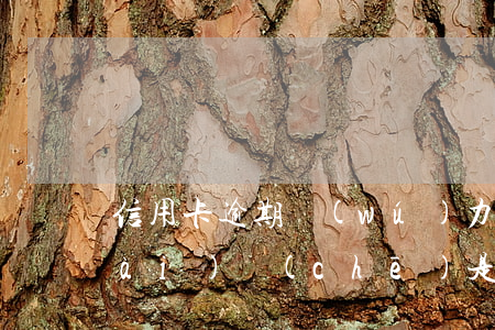 信用卡逾期無(wú)力償還要不要賣(mài)車(chē)(是不是信用卡逾期就不能買(mǎi)車(chē)了)