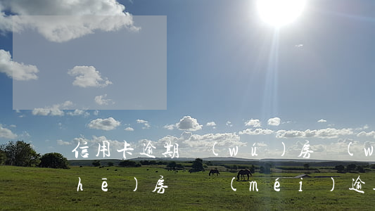 信用卡逾期無(wú)房無(wú)車(chē)(房貸沒(méi)逾期信用卡嚴(yán)重逾期)