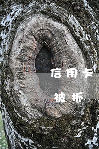信用卡逾期無(wú)法嘗還會(huì)被抓嗎(刷信用卡逾期沒(méi)還會(huì)怎么樣)