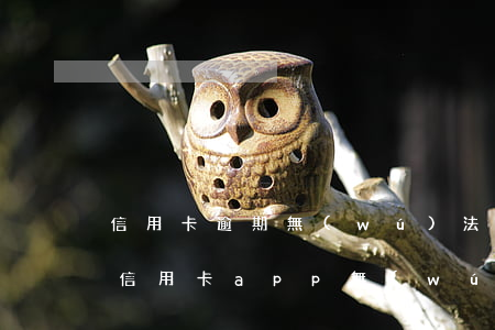 信用卡逾期無(wú)法提現(xiàn)(信用卡app無(wú)法提現(xiàn) 還有其它辦法嗎)