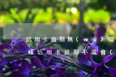 信用卡逾期無(wú)還款會(huì)怎樣(信用卡逾期不還會(huì)怎樣?)