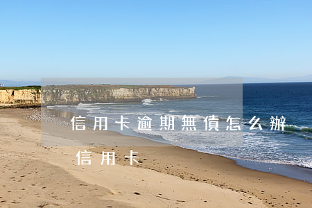 信用卡逾期無債怎么辦(沒有逾期怎么辦不了信用卡)