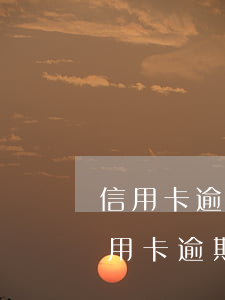 信用卡逾期無償還能力會以什么罪名定罪(信用卡逾期無償還能力會以什么罪名定罪)