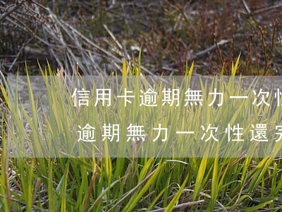 信用卡逾期無力一次性還完怎么辦-信用卡逾期無力一次性還完怎么辦理