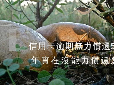 信用卡逾期無力償還5年了(信用卡逾期了幾年實在沒能力償還怎么辦)