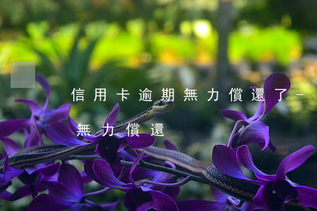 信用卡逾期無力償還了-欠信用卡逾期7萬無力償還