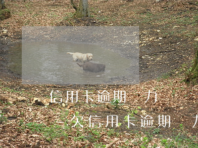 信用卡逾期無力償還債務(wù)會坐牢嗎-欠信用卡逾期無力償還該怎么辦
