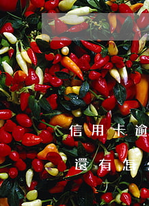 信用卡逾期無力償還分期(信用卡逾期無力償還有怎么辦)