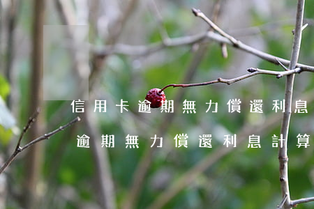 信用卡逾期無力償還利息計算多久-信用卡逾期無力償還利息計算多久結(jié)束