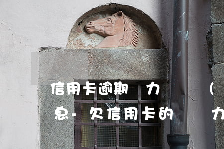 信用卡逾期無力償還協(xié)商掛賬停息-欠信用卡的錢無力償還可以辦理停息掛賬嗎