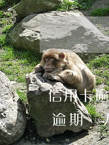 信用卡逾期無力償還可以免利息嗎-信用卡逾期無力償還可以免利息嗎怎么辦