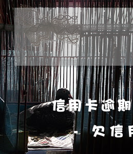 信用卡逾期無力償還可以協(xié)商還嗎-欠信用卡還不上可以協(xié)商還款嗎