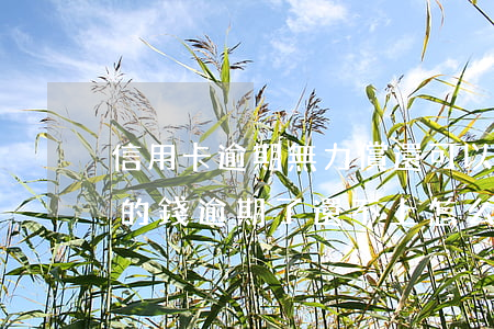 信用卡逾期無力償還可以報警嗎-欠信用卡的錢逾期了還不上怎么辦