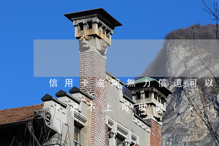 信用卡逾期無力償還可以還本金嗎-欠信用卡還不上可以協(xié)商還款嗎