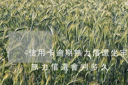 信用卡逾期無力償還坐牢(銀行信用卡逾期了無力償還會判多久)