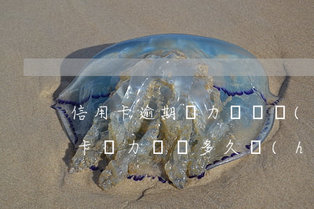 信用卡逾期無力償還報(bào)案(欠信用卡無力償還多久會(huì)被起訴)