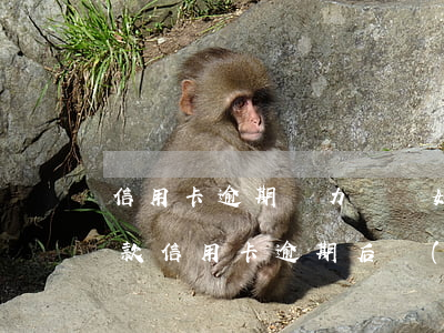 信用卡逾期無力償還如何協(xié)商還款(信用卡逾期后協(xié)商還完后怎么弄)