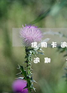 信用卡逾期無力償還如何申請減免-信用卡逾期無力償還如何申請減免利息