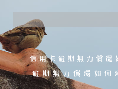 信用卡逾期無力償還如何避免官司-信用卡逾期無力償還如何避免官司凍結(jié)