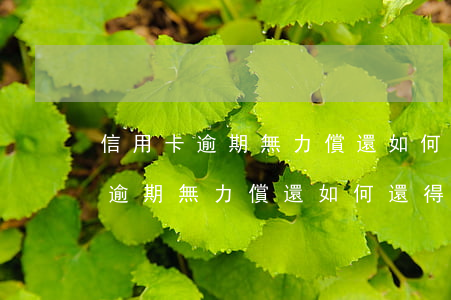 信用卡逾期無力償還如何還得最少-信用卡逾期無力償還如何還得最少錢