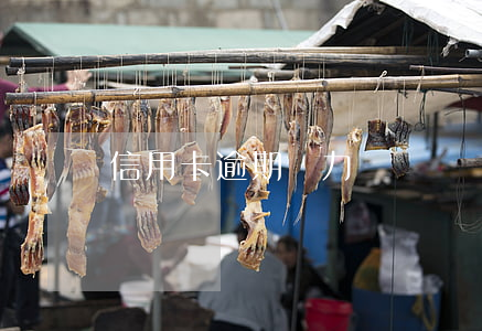 信用卡逾期無力償還專欄(信用卡欠款無力償還)