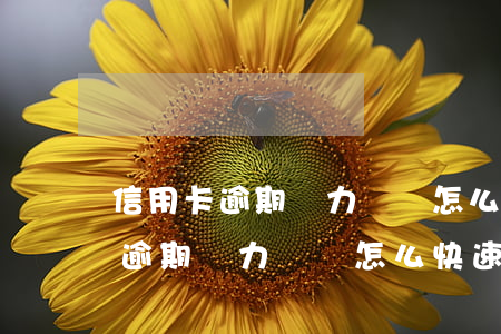 信用卡逾期無力償還怎么快速處理-信用卡逾期無力償還怎么快速處理呢
