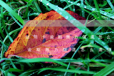 信用卡逾期無力償還怎么處理最快-信用卡逾期無力償還怎么處理最快方法