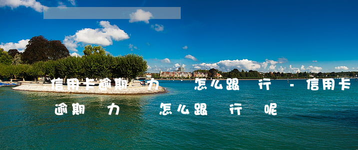 信用卡逾期無力償還怎么跟銀行說-信用卡逾期無力償還怎么跟銀行說呢