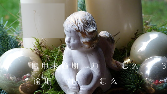 信用卡逾期無力償還怎么辦-30萬信用卡逾期無力償還怎么辦