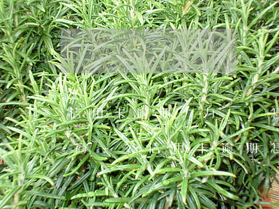 信用卡逾期無力償還怎樣當面協(xié)商-欠信用卡逾期怎么去協(xié)商