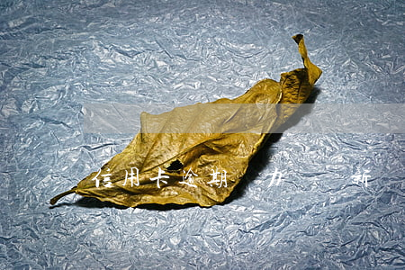 信用卡逾期無力償還新規(guī)