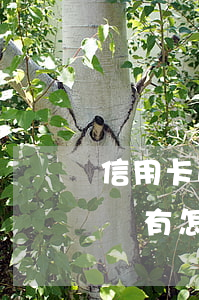 信用卡逾期無力償還最新(信用卡逾期無力償還有怎么辦)