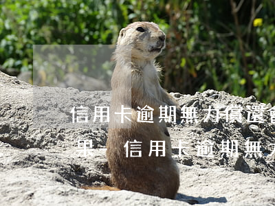 信用卡逾期無力償還會(huì)有什么后果-信用卡逾期無力償還會(huì)有什么后果呢