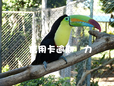 信用卡逾期無力償還會坐牢嗎