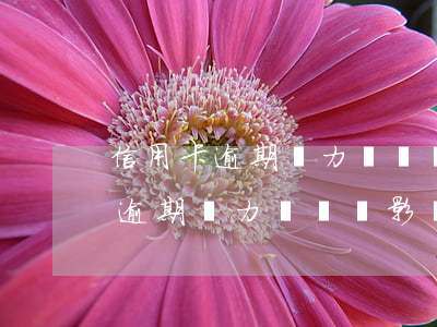 信用卡逾期無力償還會影響妻子嗎-信用卡逾期無力償還會影響妻子嗎知乎