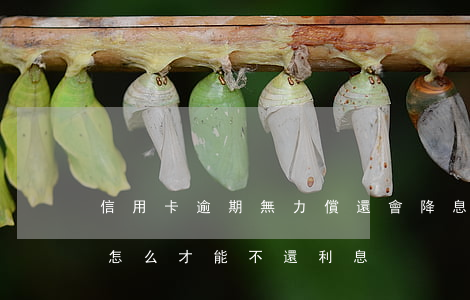 信用卡逾期無力償還會降息嗎(還逾期信用卡怎么才能不還利息)