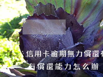 信用卡逾期無力償還有怎么辦(信用卡逾期沒有償還能力怎么辦)