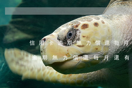 信用卡逾期無力償還每月還有用嗎-信用卡逾期無力償還每月還有用嗎知乎