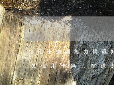信用卡逾期無力償還知何協(xié)商-欠信用卡無力償還怎么協(xié)商