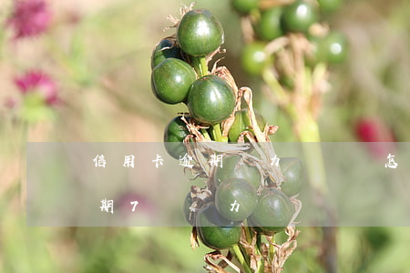 信用卡逾期無力償還該怎么解決(欠信用卡逾期7萬無力償還)