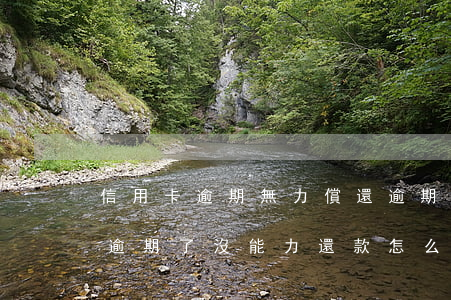 信用卡逾期無力償還逾期2年(好幾張信用卡逾期了沒能力還款怎么辦)