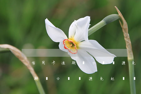 信用卡逾期無力償還避免起訴絕招(信用卡逾期無力償還避免起訴絕招)