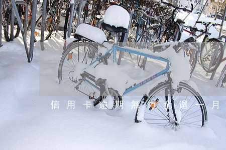 信用卡逾期無力全還一月還一點可以嗎